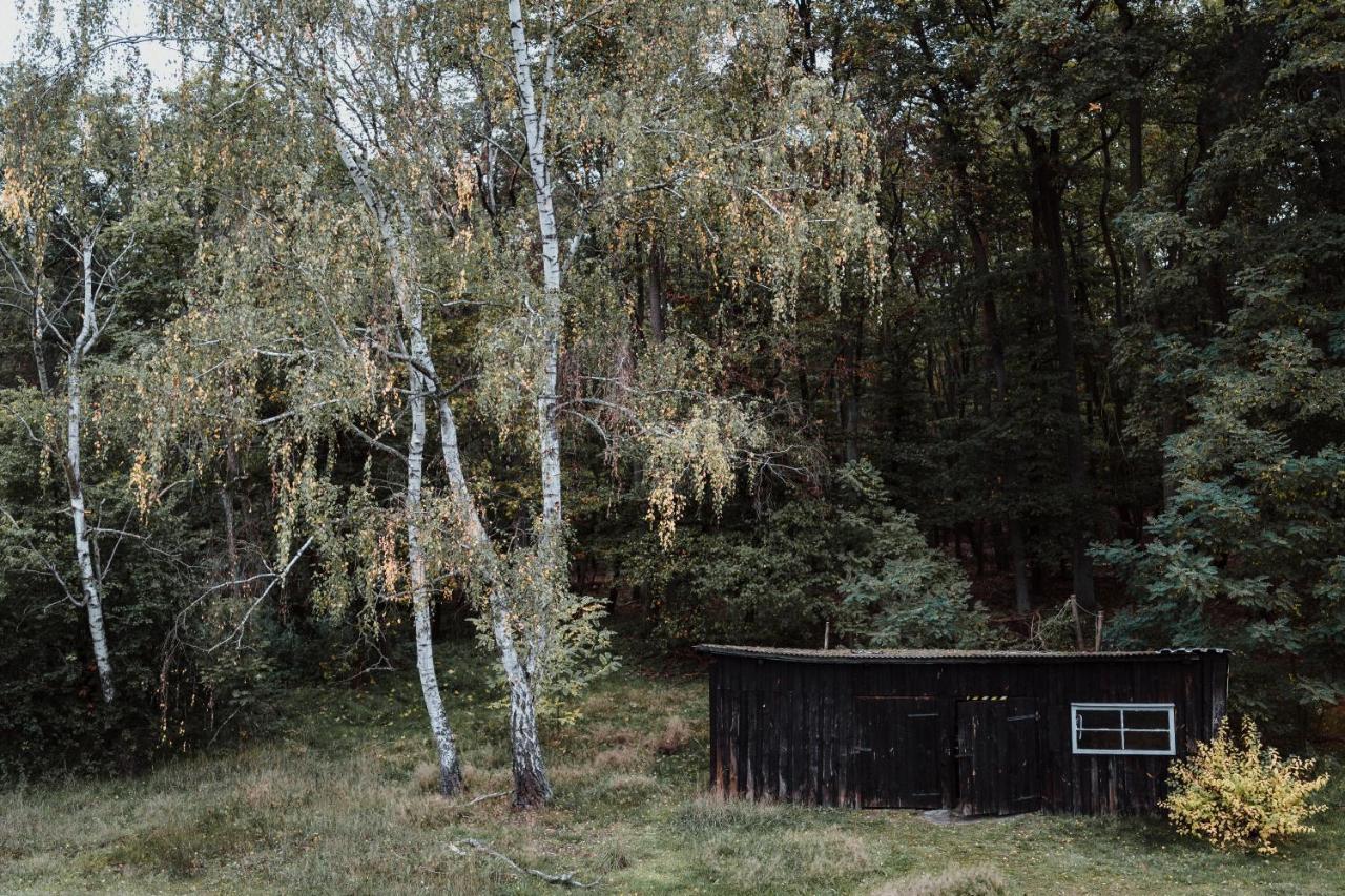 Markische Heide Spreewaldhaus Am Landgut - Pretschen 아파트 외부 사진